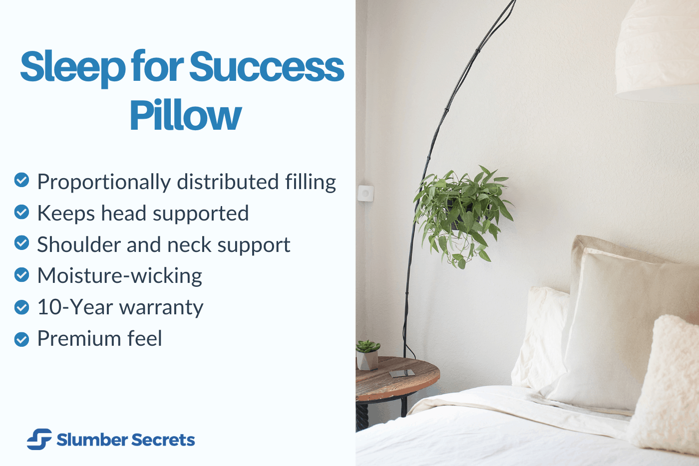 Sleep for Success Pillow Review